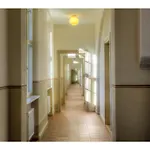Am Grossen Waisenhaus 호텔 3*