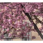 ホテル Am Grossen Waisenhaus