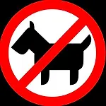 Am Grossen Waisenhaus 3* ポツダム