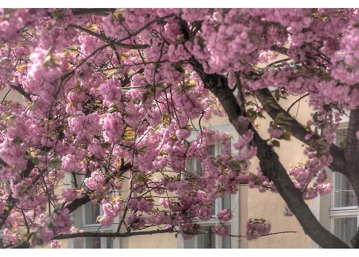 Hotel Am Grossen Waisenhaus