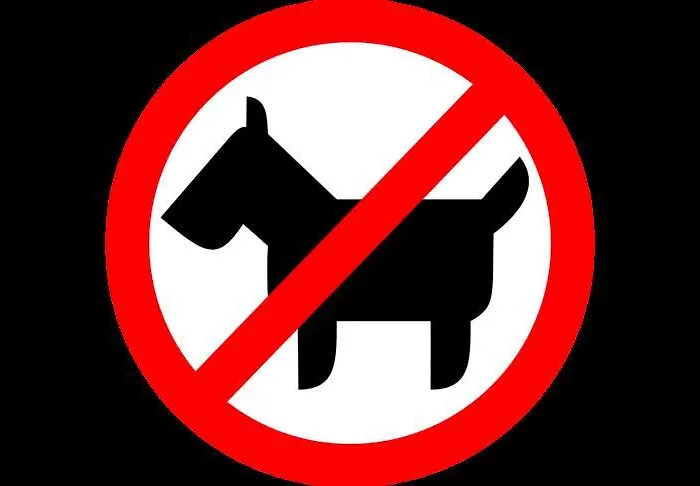 Am Grossen Waisenhaus 3* Potsdam